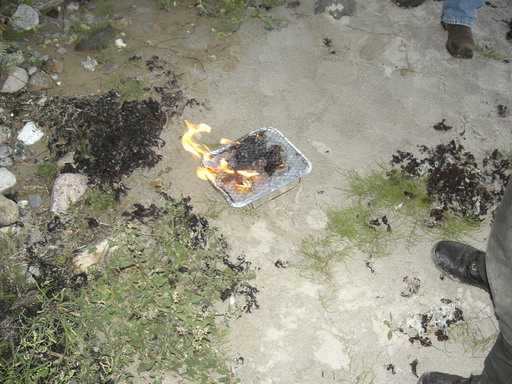 als2007_040.jpg