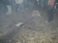 als2007_168.jpg